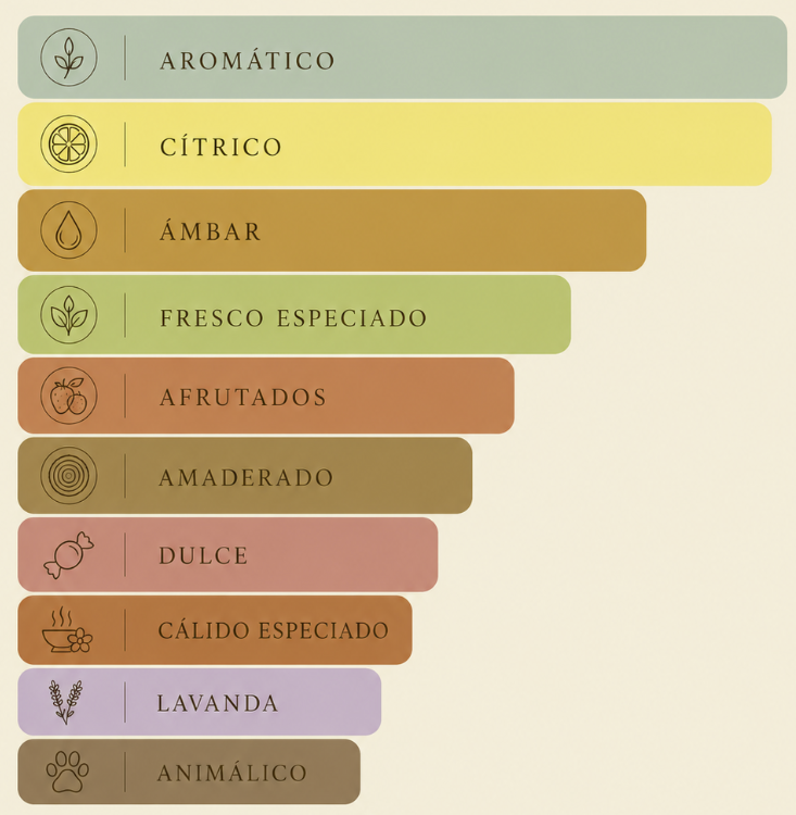 Coach Man EDT